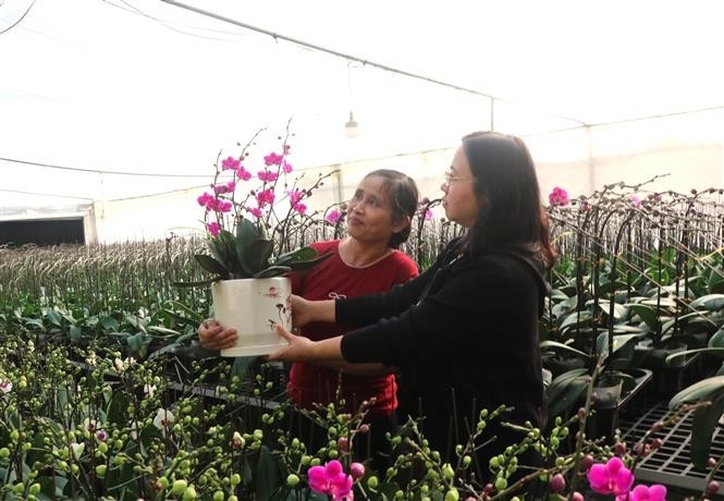 Vietnam poised to ring in 2026, ready to embark on new era of prosperity